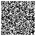 QR code with Hoggy's contacts
