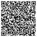 QR code with Q-Stix contacts