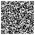 QR code with Curves contacts