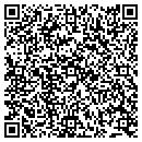 QR code with Public Storage contacts