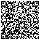 QR code with Bluelight Animations contacts