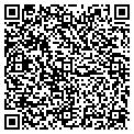 QR code with Mtwsi contacts