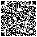 QR code with Pullman Power contacts