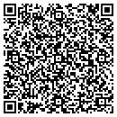 QR code with Carlisle Automation contacts