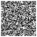 QR code with Precision Painting contacts