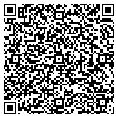 QR code with Precision Painting contacts