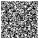 QR code with Cyberdecisions contacts