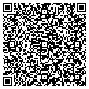 QR code with Princeton Review contacts