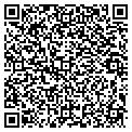QR code with Fitch contacts