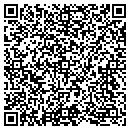 QR code with Cyberaccess Inc contacts