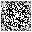 QR code with Pyles Communications contacts