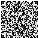 QR code with Programming Art contacts
