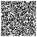QR code with Promise Realty contacts