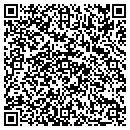 QR code with Premiere Pools contacts