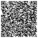 QR code with Premier Pump contacts