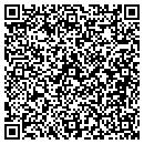 QR code with Premier Machinery contacts
