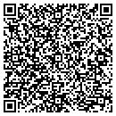 QR code with Pyro Master LLC contacts