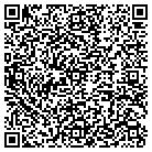QR code with Blaha Financial Service contacts