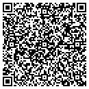 QR code with Premier Pools & Spas contacts