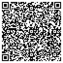 QR code with Put In Bay Airport contacts