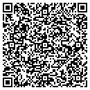 QR code with Chaney Dave Tire contacts