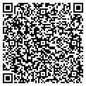 QR code with Anlo contacts
