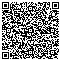 QR code with Feldys contacts