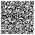 QR code with Cytech contacts