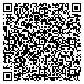 QR code with Newest contacts