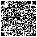 QR code with Premiere Conferencing contacts