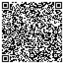 QR code with Premium Title Inc contacts