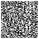 QR code with Pultrusion Dynamics Inc contacts