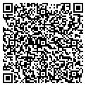 QR code with Z Tech contacts
