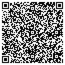 QR code with Carl A Gleichauf DDS contacts