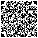 QR code with Collectors Items Shop contacts