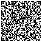 QR code with Professional Electronics contacts