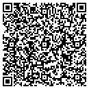 QR code with Publishing Solutions contacts