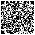 QR code with Stems contacts