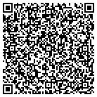 QR code with Blue Haven Pools & Spas contacts