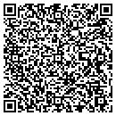 QR code with Project Group contacts