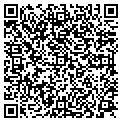 QR code with Y M C A contacts