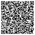 QR code with Neways contacts