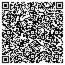 QR code with Premire Consulting contacts