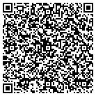 QR code with Public Schools Foundation contacts