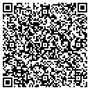 QR code with Pyramid Expresso Bar contacts
