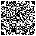 QR code with Angles contacts