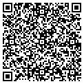 QR code with Shell contacts