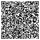 QR code with Premiere Conferencing contacts