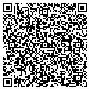 QR code with Carefree Auto Sales contacts