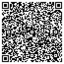 QR code with Pub The contacts